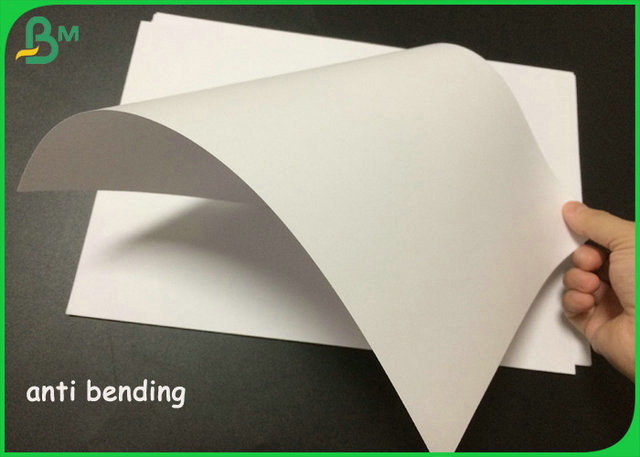 rolo de papel imprimindo deslocado Eco-amigável 140gram para o saco de papel